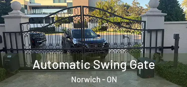  Automatic Swing Gate Norwich - ON