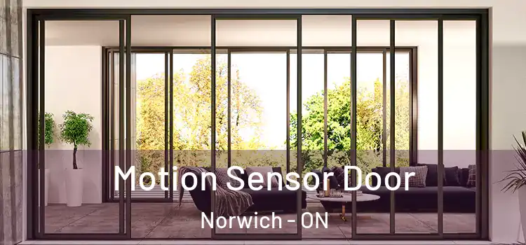 Motion Sensor Door Norwich - ON